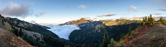 Washington- Hurrican Ridge View