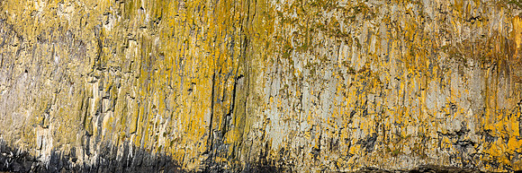 Oregon-Seal Rock