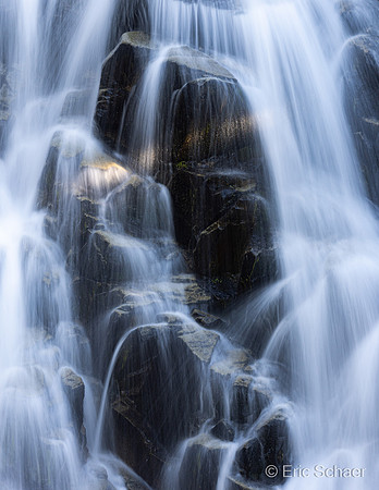 Paradise Area-Mount Rainier Washington
