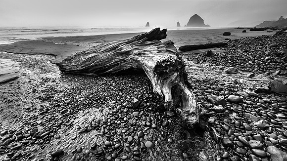 Black and White-3855
