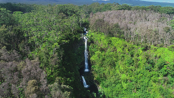 Waterfall, Drone, Road to Hana Maui Hi