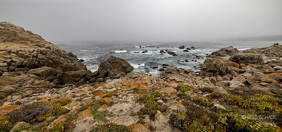 Pebble Beach California- 17 Mile Dr.