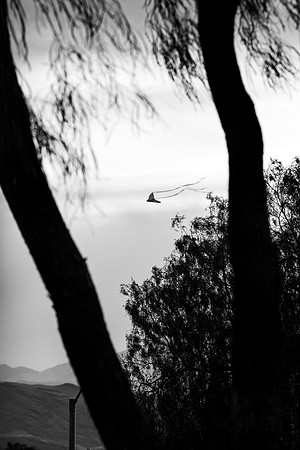 Black and White-4149