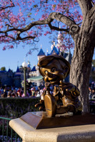 Disneyland- Anaheim California