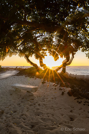 Kailua Kona- Big Island Hawaii