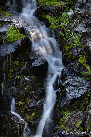 Paradise Area-Mount Rainier Washington