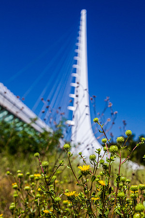 Redding Sundial Bridge