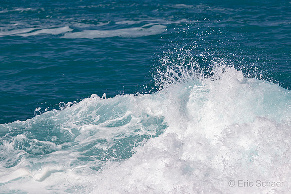 Kailua Kona- Big Island Hawaii