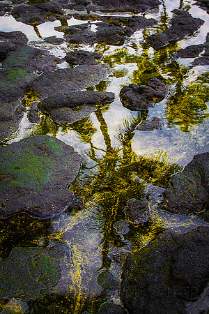 Hawaii Big Island-058