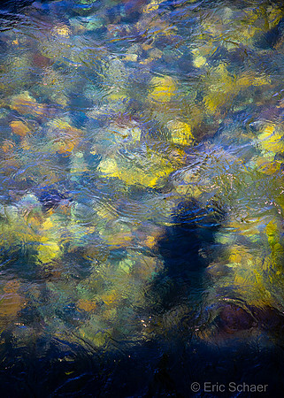 2020 Snoqualimie River- Abstract