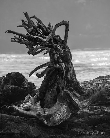 Yachats Oregon