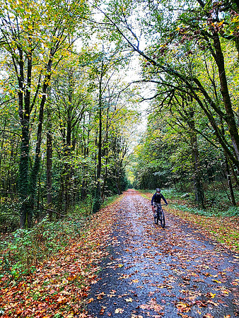 Eric- Issaquah WA (Exit 20 Ride)