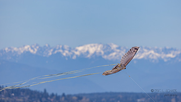 March: West Seattle