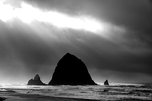 2020 Cannon Beach Oregon Coast-3622