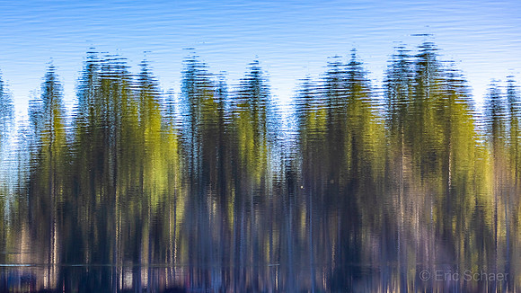 Northwest Trek- Eatonville Washington