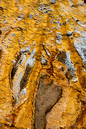 2020 Yellowstone Abstract-2911