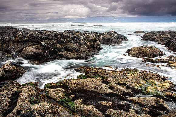 Strawberry Hill- Near Yachats Oregon