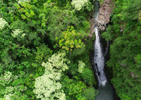 Drone Image, Maui Hi, Road to Hana,