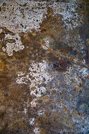 Astoria Coffee Girl Floor-2224