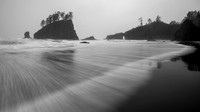 Black and White-4795