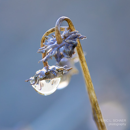 January- Water drops:  Tahquitz Canyon Trail- Palm Springs Calif.,