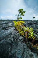 Hawaii Lava-0291