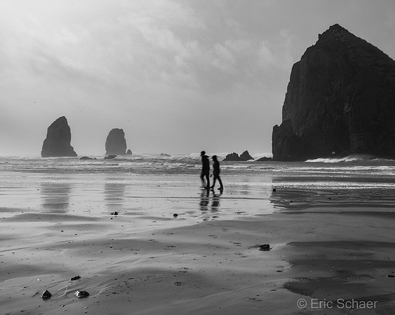 2020 Cannon Beach Oregon Coast-3644
