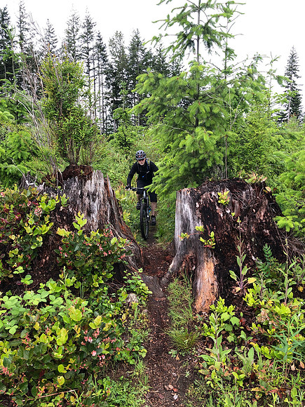 Eric, Tokul Mountain Bike Trail, Fall City WA