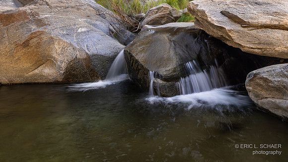 January, Murray Creek, Murray Canyon Trail,  Palm Springs Calif.