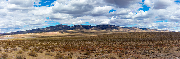 Nevada- Petroglyph Trail 1
