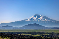 Mount Shasta Calif.