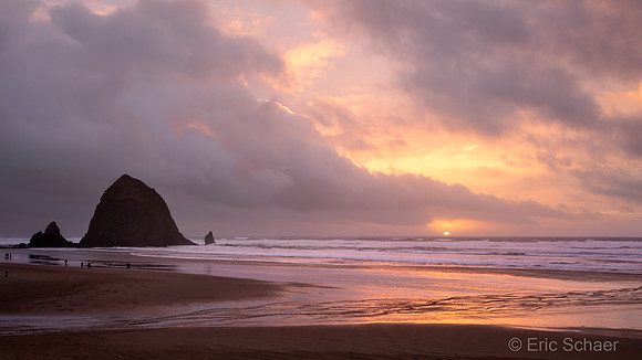 2020 Cannon Beach Oregon Coast-3668