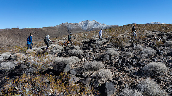 Hike Black Mt Trail NV, McCullough Mt Range