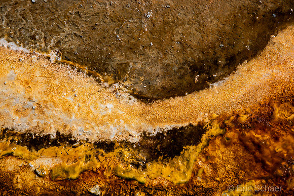 2020 Yellowstone Abstract-2914