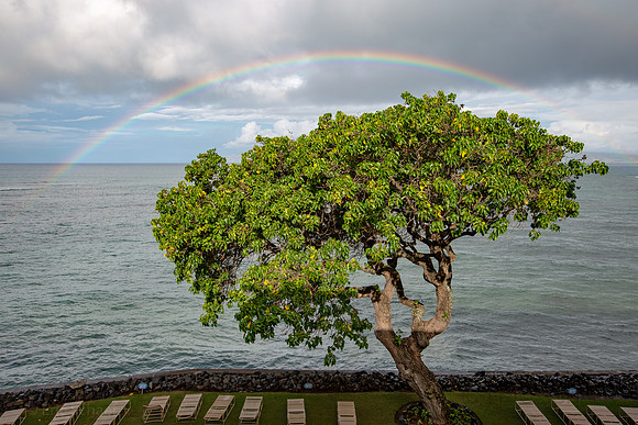 Kahana Reef Rainbow, Maui Hi