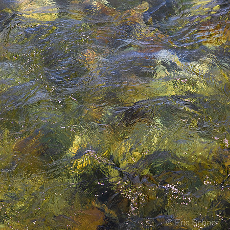 2020 Snoqualmie River- Abstract River Bottom