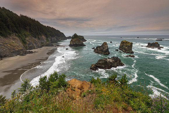Oregon Coast