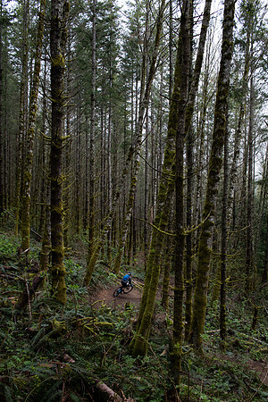 Kyle, Raging River State Forest Trail, Kyle,  WA