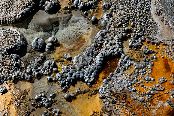 Yellowstone-2940