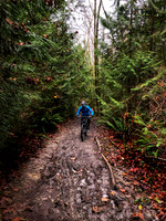 Eric- Woodridge Trail Bellevue