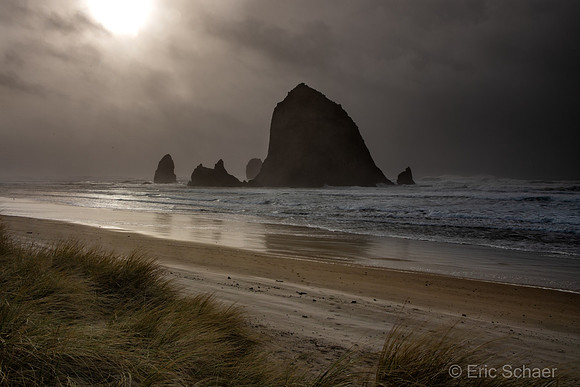 2020 Cannon Beach Oregon Coast-3652