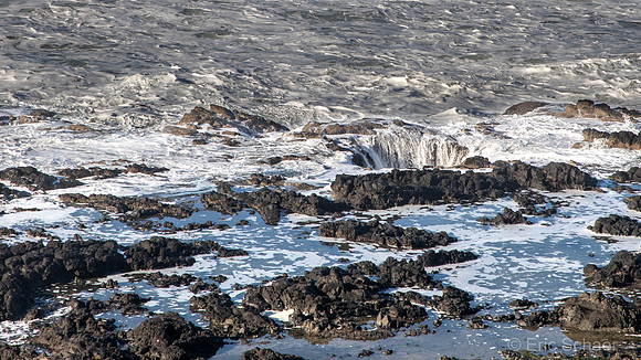 2020.12 Cape Perpetua Thor's Well Oregon Coast-3512