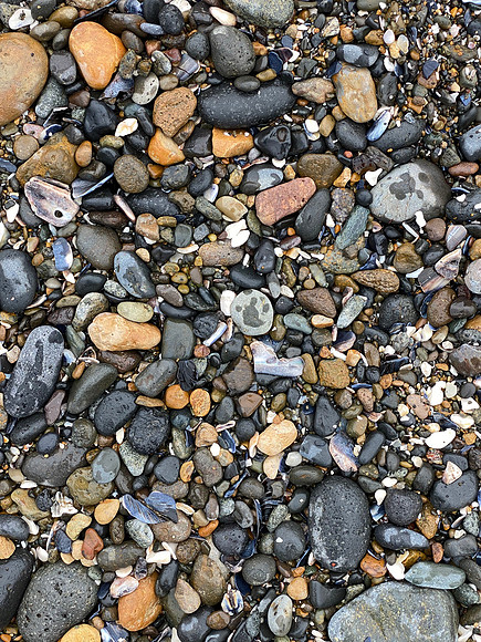 2020.06 i-Phone Oregon Coast Beach