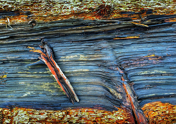 2020.06 i-Phone Log Detail