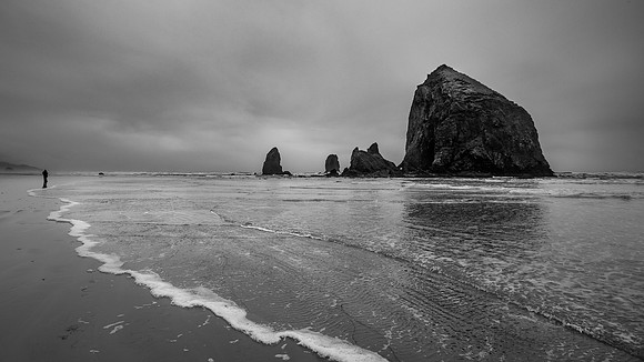 Black and White-3839