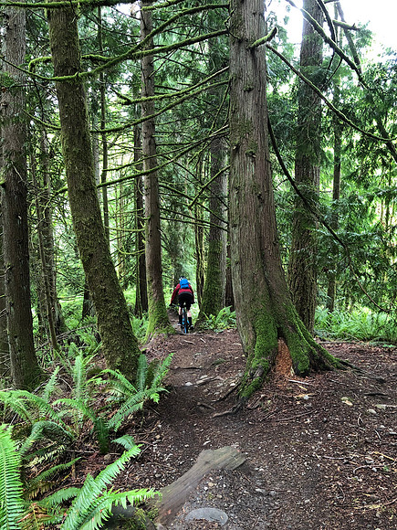 Eric, Tokul Mountain Bike Trail, Fall City WA