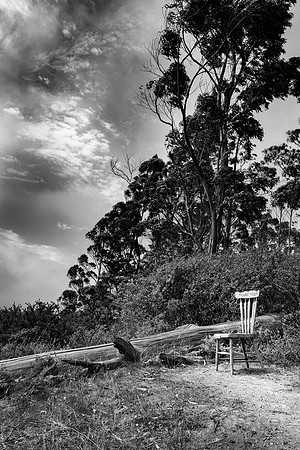 Black and White-0269