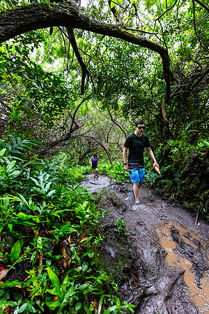 Pipiwai Trail, Ohe'o Gulch, Kipahulu Maui Hi