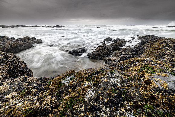 Strawberry Hill- Near Yachats Oregon