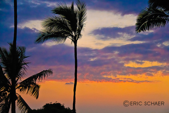 Hawaii Big Island-2577